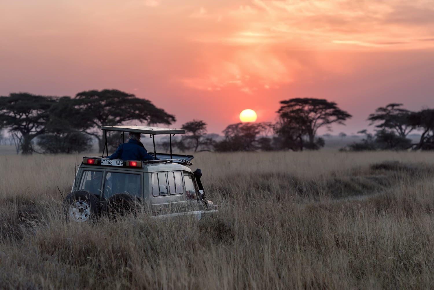 African safari landscape — illustrative stock photograph